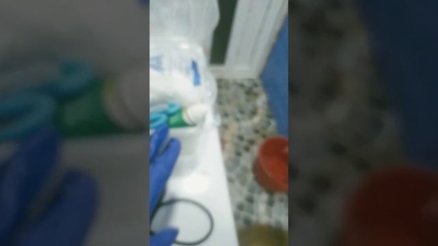 Оказываю первую помощь собаке, которую сбила машина смотреть онлайн