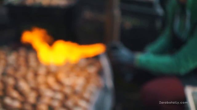 Борьба с луковой мухой ЖЕСТЬ(18+) смотреть онлайн