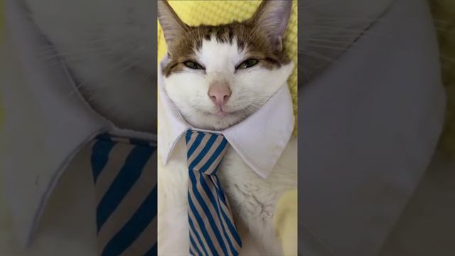 В ожидании пятницы смотреть онлайн