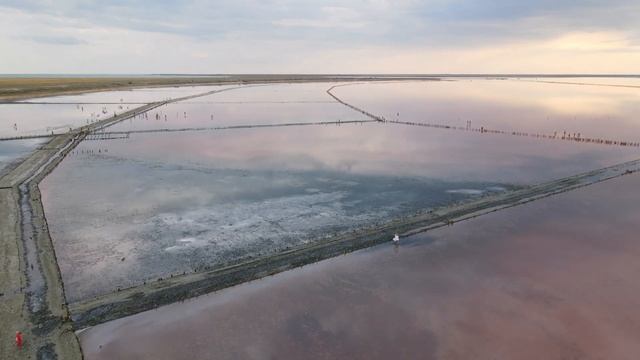 Сиваш. Геническое "Розовое" озеро. смотреть онлайн