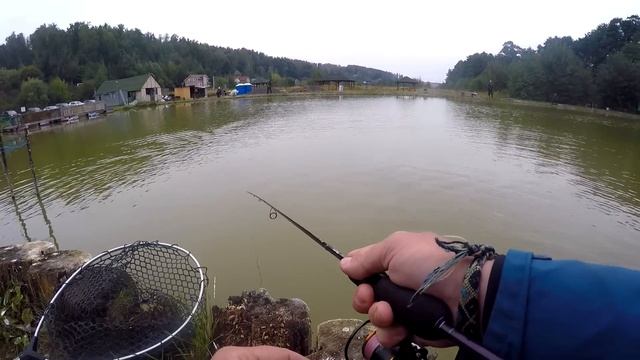 Безлимит Мисайлово Trout | Ловля форели | Рыбалка с Денисом Вихровым смотреть онлайн