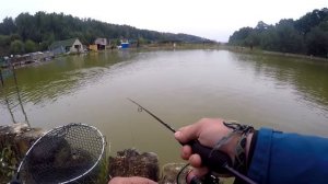 Безлимит Мисайлово Trout | Ловля форели | Рыбалка с Денисом Вихровым