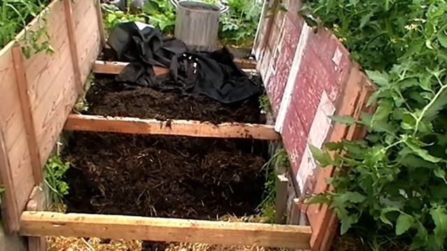 Готовлю бурт для дендры к зимовке смотреть онлайн