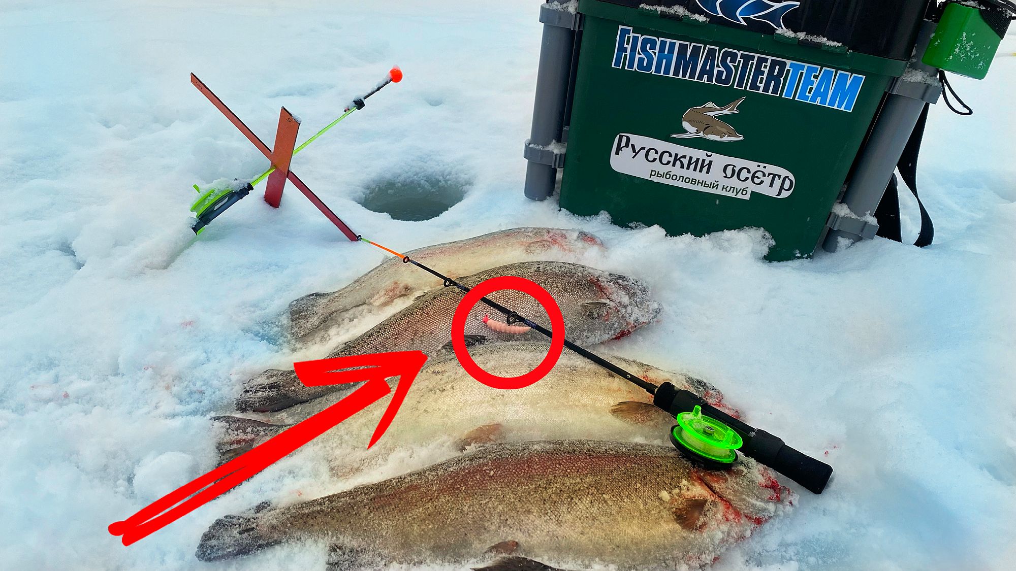 КРУПНАЯ ФОРЕЛЬ АТАКУЕТ РЕЗИНУ Ловля форели на резину блесна и поставушки смотреть онлайн