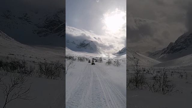 Погнали в горы #shortsvideo #skidoo #brp #hibiny #tundra #hibiny #vnaturetour #прокатснегоходов смотреть онлайн