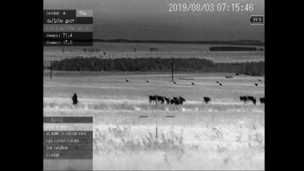 Подходим к зайцу в упор с прицелом "Dedal Venator".