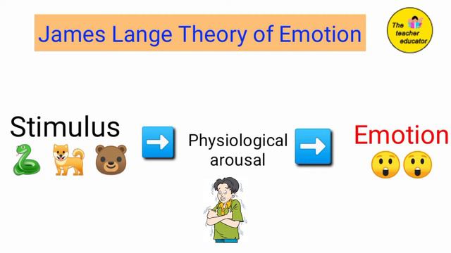 Cannon Bard Theory of Emotions смотреть онлайн