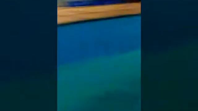 День рождения одноклассницы Иры /MW/2k18/ смотреть онлайн
