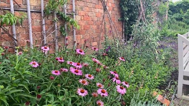 Hampton Court Flower Show '23 | & RHS Wisley - a stampede to the floral marquee! смотреть онлайн