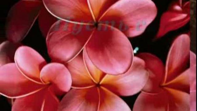 8 марта смотреть онлайн