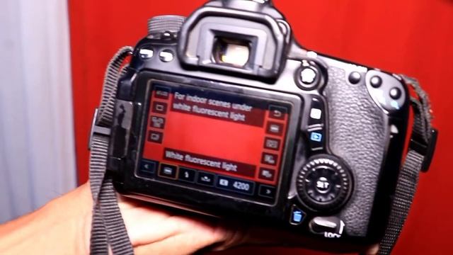 CANON EOS 70d Cemra setting ? смотреть онлайн