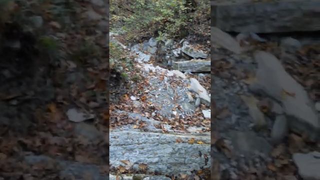 Обзор ерика между гор смотреть онлайн