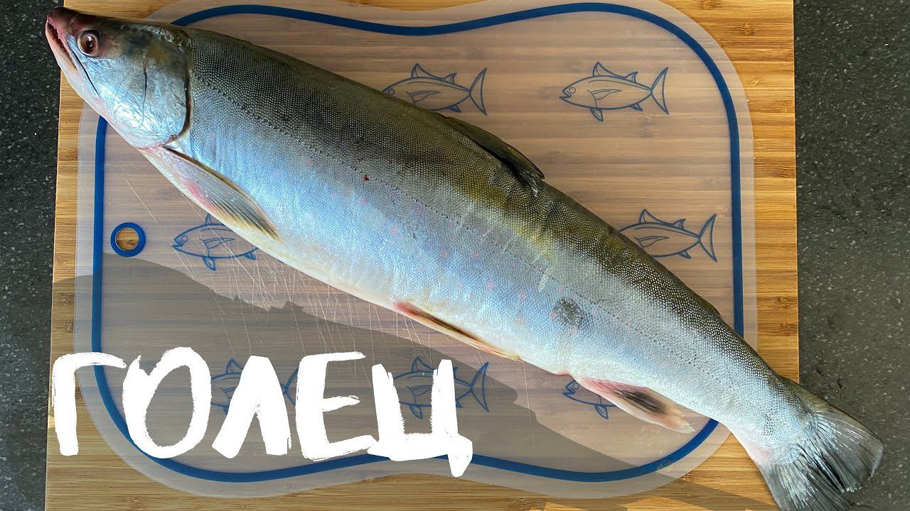 Как готовить красную рыбу. Голец. смотреть онлайн