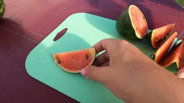 Середина сентября на даче. Пробуем арбузы. смотреть онлайн