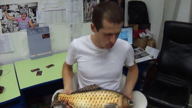 Самый рыбацкий подарок - упитанная мягкая рыбешка, приносящая здоровый сон и удачу смотреть онлайн