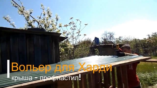 Вольер для Харди из поддонов своими руками за копейки. #своимируками #поделкаизподдонов