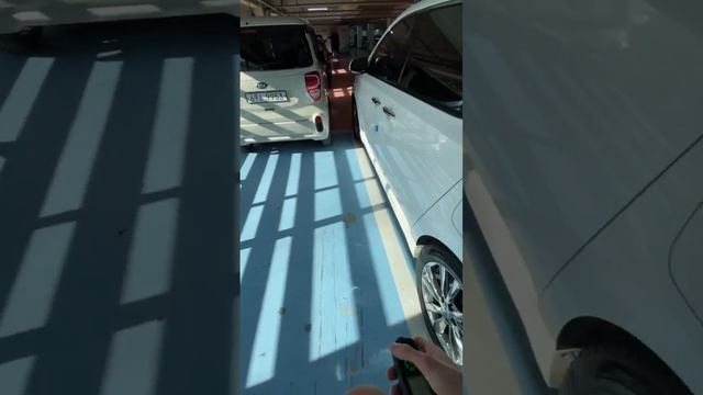 Kia The New Carnival, 2019 смотреть онлайн