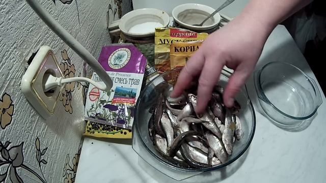 Зоологические Подсказки