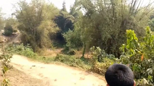 Тайланд 2020.Катание на слонах. смотреть онлайн