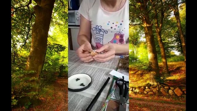 Поделка из природного материала "Сова". Ковальчук О.В. смотреть онлайн