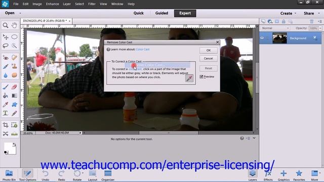 Adobe Photoshop Elements 12 Tutorial Lighting Color Contrast & Clarity Employee Group Training 14.6 смотреть онлайн