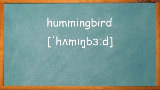 Учим английские слова, тема: Птицы #1 смотреть онлайн