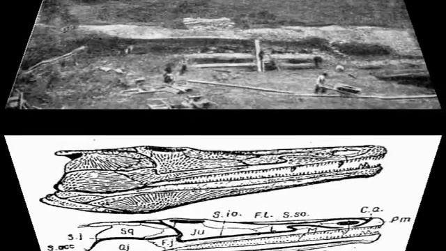 Перспективы раскопок и поисков древнейших позвоночных на территории СССР/Ефремов Иван Антонович смотреть онлайн
