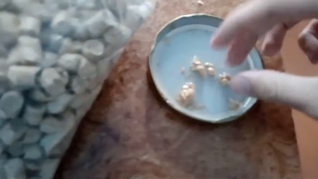 стружка для хомяка(наполнитель для кошек/что можно получить!? смотреть онлайн