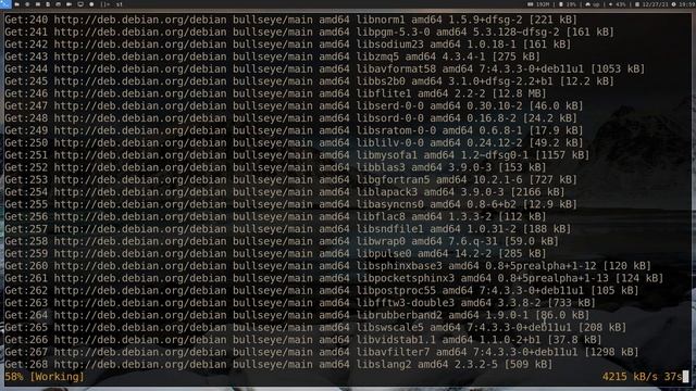 Debian: Custom Installer for a Custom Live Iso with Dwm смотреть онлайн