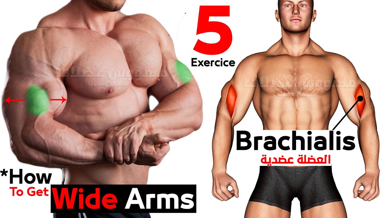 Как расширить бицепс (5 эффективных упражнений) смотреть онлайн