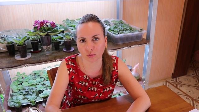 Подсветка рассады. Тонкости, нюансы, досвечивание рассады. смотреть онлайн