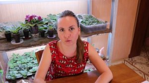 Подсветка рассады. Тонкости, нюансы, досвечивание рассады.