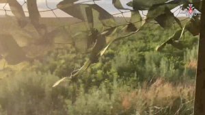 Боевая работа экипажей танков Т-80БВМ группировки войск «Запад»