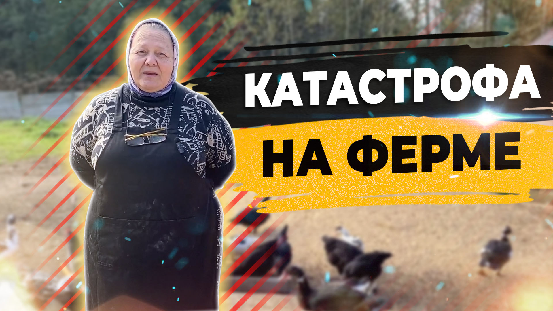 Нас хотят закрыть! Отключили свет на ферме. Вся продукция испорчена. смотреть онлайн