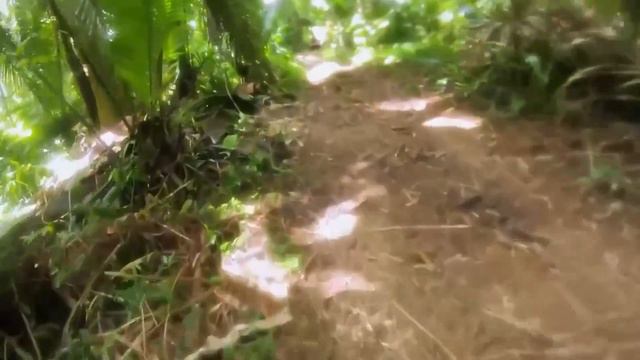 Naked And Afraid - Best Bits Season 11
