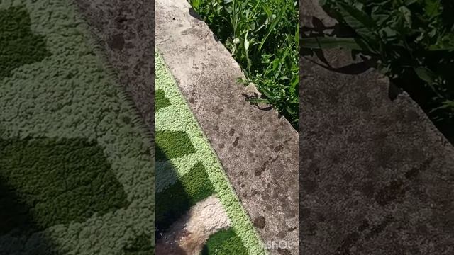 ФАДА ПОВЕРХНЯ смотреть онлайн