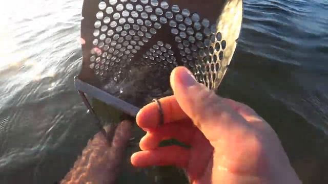 Подводный коп в Екабпилсе, Латвия. Уникальные находки на Anfibio Multi смотреть онлайн