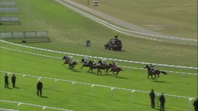 Eagle Top (GB) 2020 смотреть онлайн