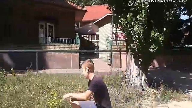 Зачем он туда залез??! | выполняем  челенджи