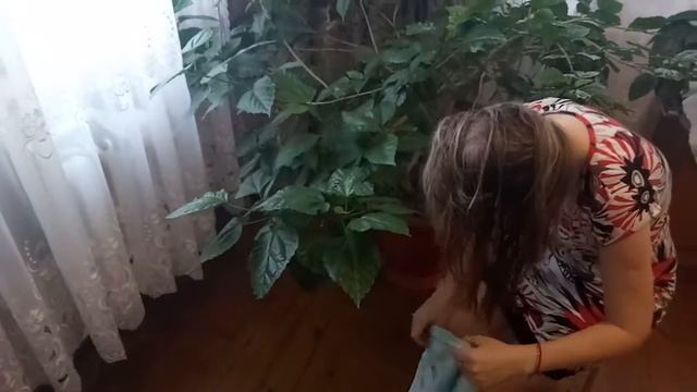 Салонный уход за волосами на дому. Всесторонний уход с маслом аргании смотреть онлайн