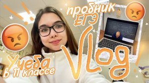 VLOG  ЗАВАЛИЛА Пробник ЕГЭ  Моя НЕудачная Неделя