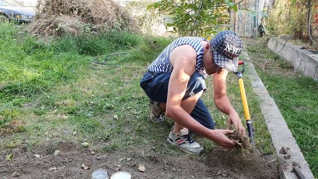 1 Видно золото и видно серебро (3).mp4 смотреть онлайн