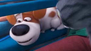 The Secret Life Of Pets 2 | New Adventures For The Pets | Extended Preview