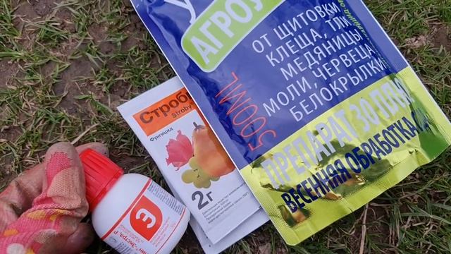 ИЗБАВЬТЕСЬ от ВРЕДИТЕЛЕЙ и БОЛЕЗНЕЙ за ОДИН РАЗ! САМАЯ ВАЖНАЯ весенняя ОБРАБОТКА РОЗ и ВСЕГО САДА смотреть онлайн