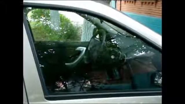 AvtoGSM.ru Модуль управления стеклоподъемниками FALCON WR250 смотреть онлайн