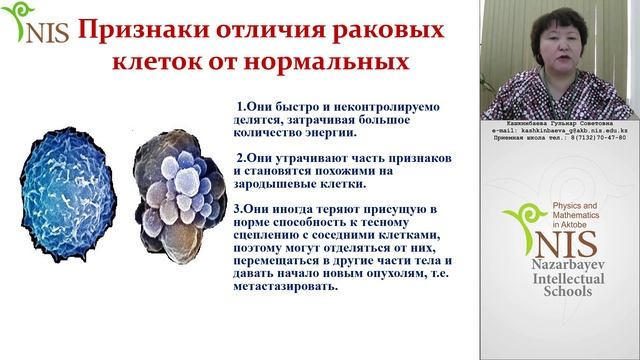 Неконтролируемое деление клеток и образование опухолей. Гипотезы раковых клеток. смотреть онлайн