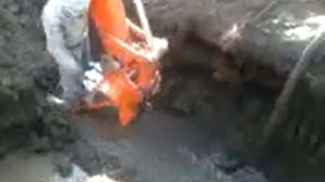Максим брынза смотреть онлайн