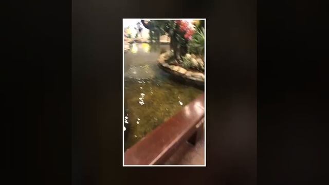 things to do in changi airport смотреть онлайн