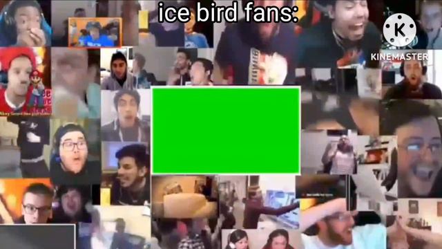 Our Reaction that ice bird returns in angry birds reloaded смотреть онлайн