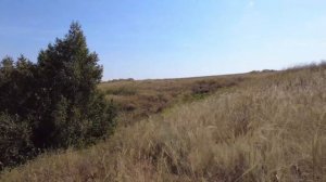 Каргалинские рудники. Часть первая. История на поверхности.